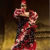 Nagwa Sai'd Flamenco Oriental Custom Design & Performance